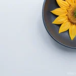 스키 장비 렌탈 vs 구매 관련 이미지 1