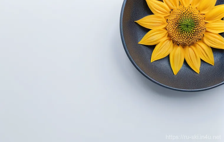 스키 장비 렌탈 vs 구매 관련 이미지 1