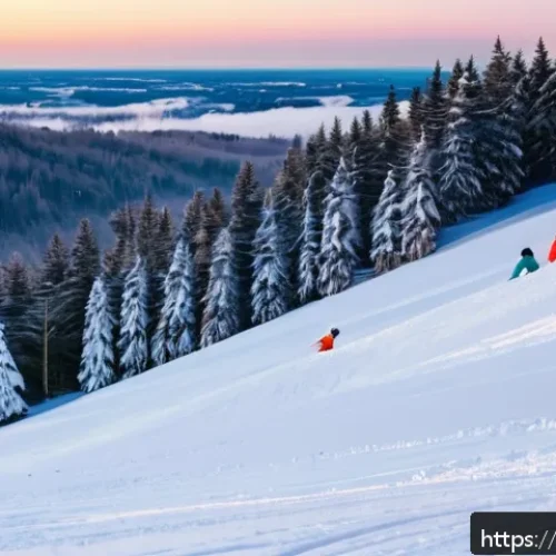 Home 31 스노우보드 초보 커뮤니티 - A serene beginner-friendly snowboarding slope at Sorochany resort in Moscow region during a sunny wi...