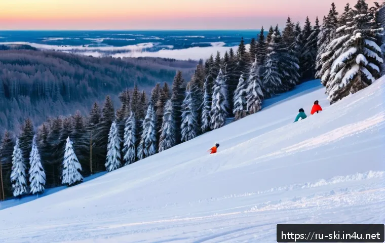 스노우보드 초보 커뮤니티 - A serene beginner-friendly snowboarding slope at Sorochany resort in Moscow region during a sunny wi...